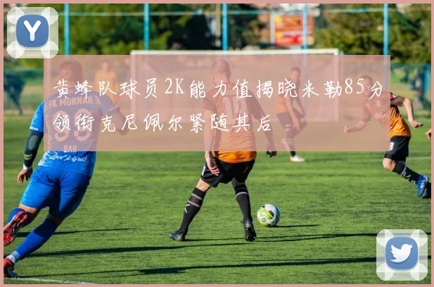 黄蜂队球员2K能力值揭晓米勒85分领衔克尼佩尔紧随其后